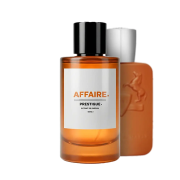 AFFAIRE reference image